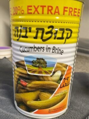 Cucumber in brine