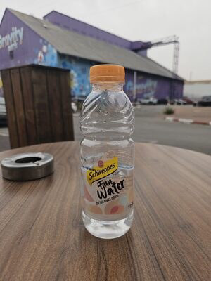 Schweppes fun water peach